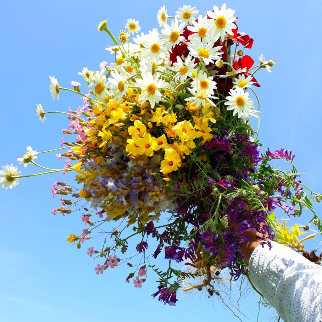 A colorful bouquet of wildflowers being held against a clear blue sky, showcasing vibrant spring blooms.
